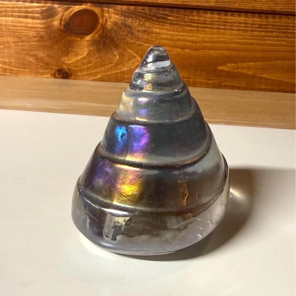 Glass Shell Paperweight | Silvestri Iridescent Art Glass Coastal Decor Seashell